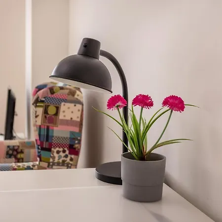 Apartment Home2book Cozy Bajamar, Wifi *