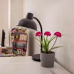Апартаменты Home2book Peaceful Getaway In *